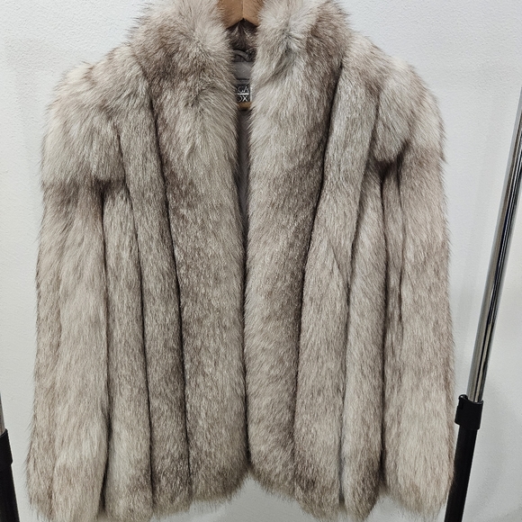 COPY - SAGA Fox M - Gorgeous! - Picture 1 of 17